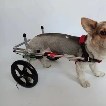 Парализира скоба за кучета с увреждания на задните крайници, скутер за малки кучета, електрически превозни средства за инвалиди по гръбначния стълб, помощен кола Teddy